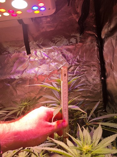 Growreport Bild 15