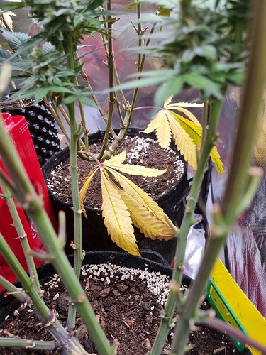 Growreport Bild 21