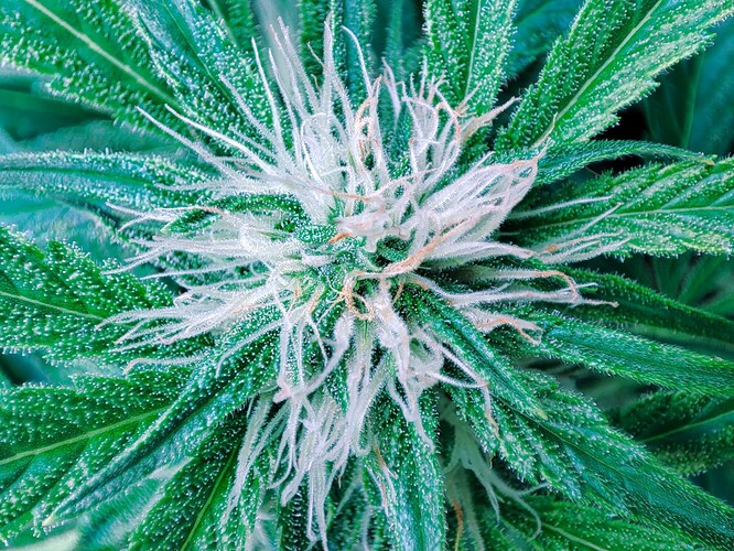 Growreport Bild 22