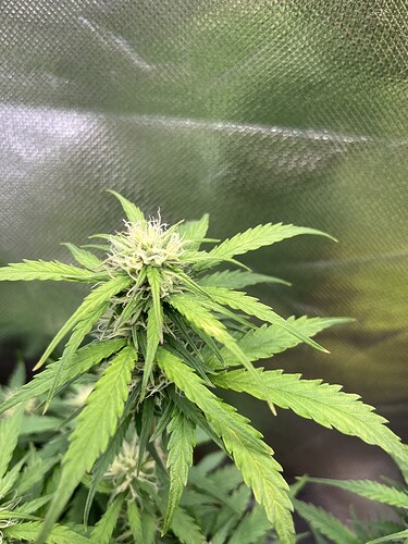 Growreport Bild 18
