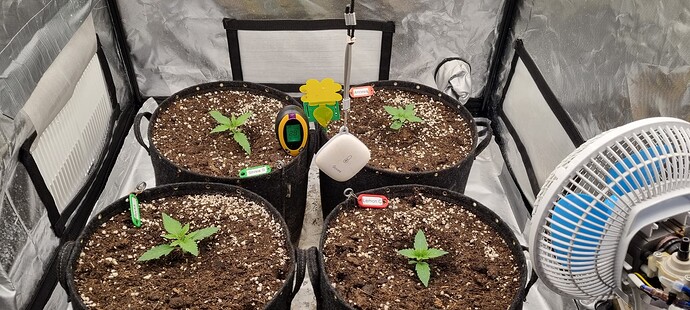 Growreport Bild 21