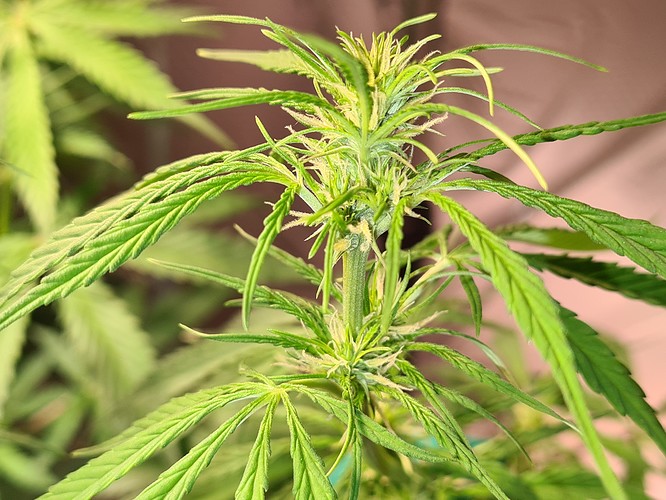 Growreport Bild 10