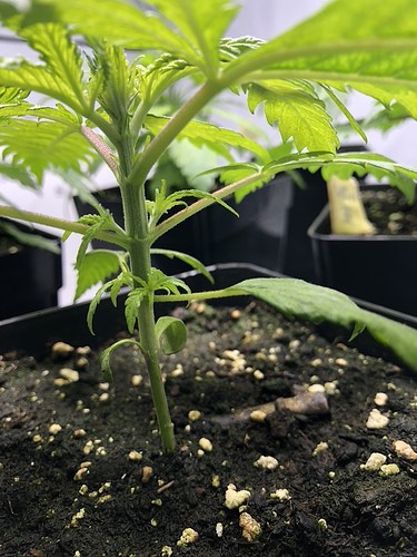 Growreport Bild 21