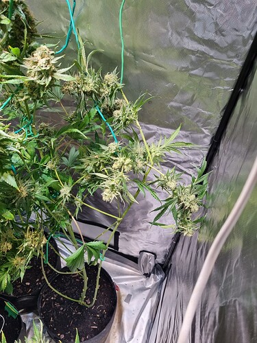 Growreport Bild 9