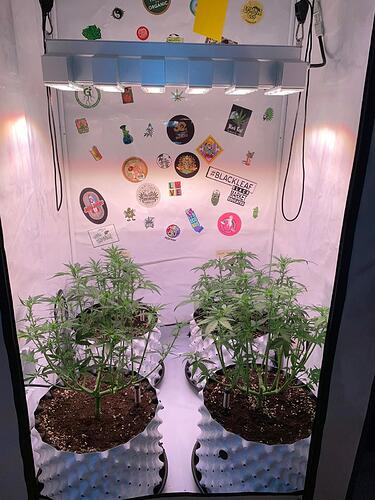 Growreport Bild 3