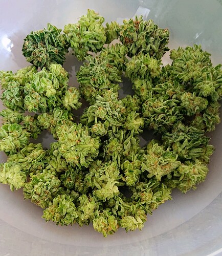Growreport Bild 10