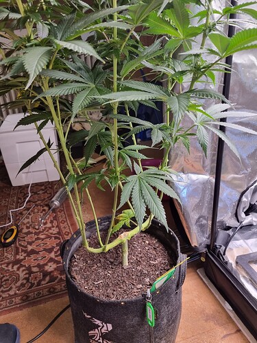 Growreport Bild 2