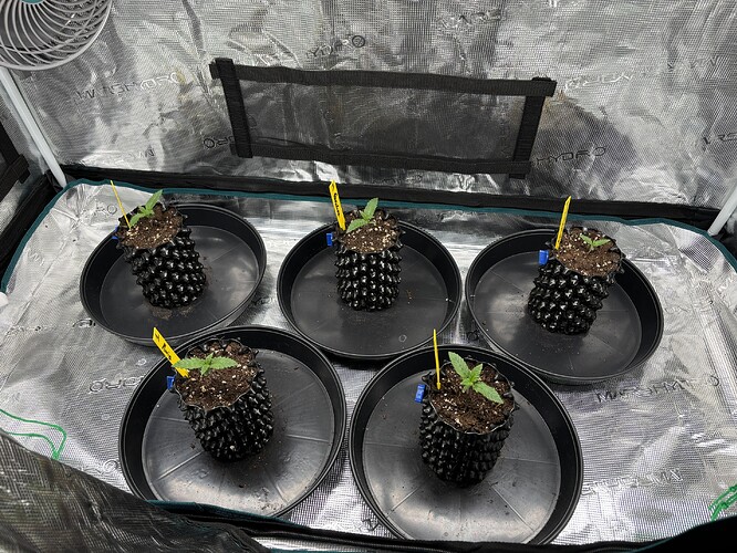 Growreport Bild 42
