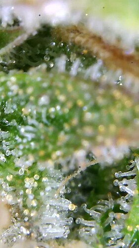Growreport Bild 8