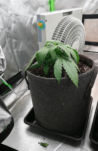 Growreport Bild 16