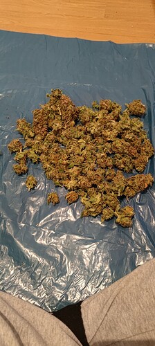 Growreport Bild 9