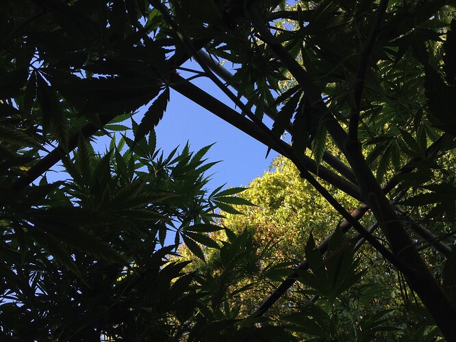 Growreport Bild 9