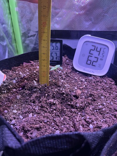 Growreport Bild 11