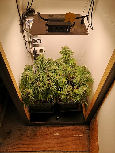 Growreport Bild 1