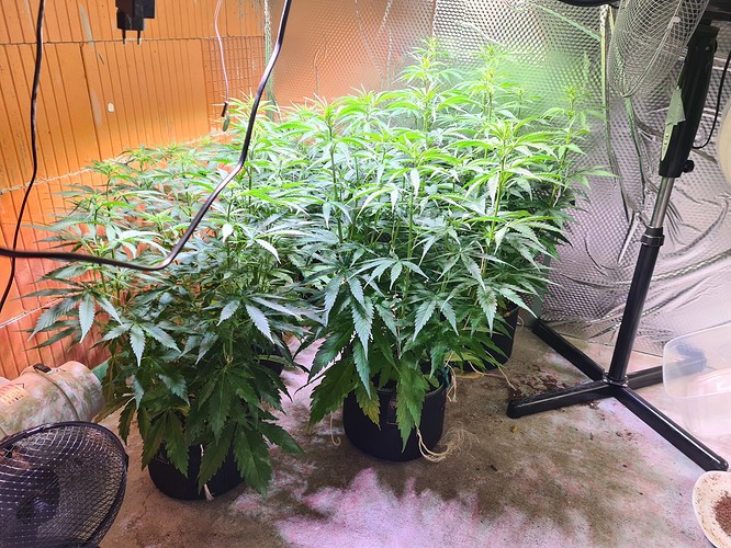 Growreport Bild 6