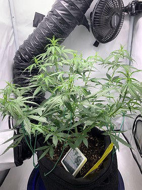 Growreport Bild 10