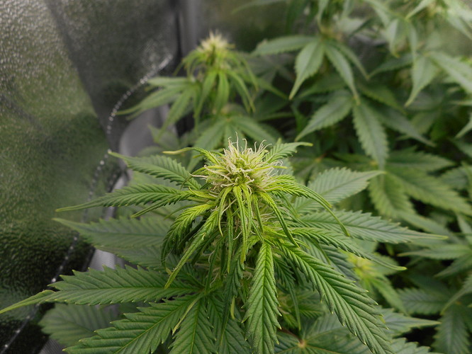 Growreport Bild 12