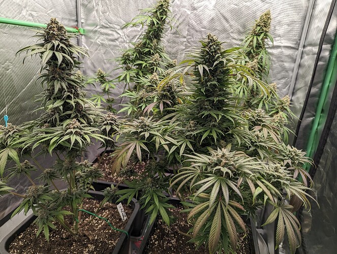 Growreport Bild 13
