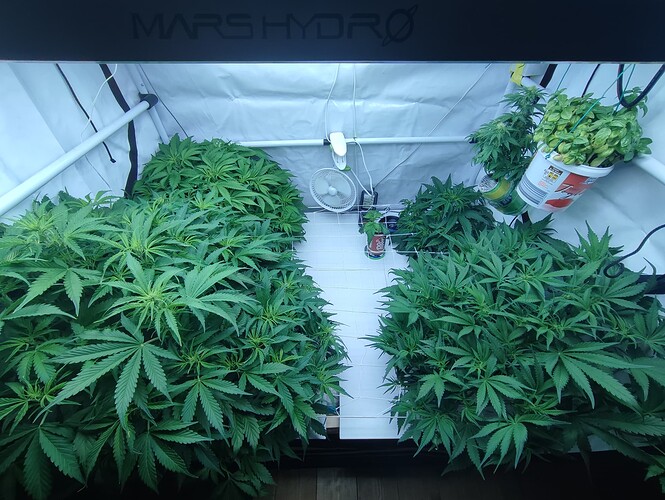 Growreport Bild 17