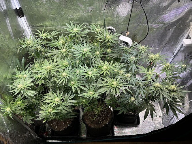 Growreport Bild 25