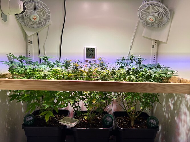 Growreport Bild 11