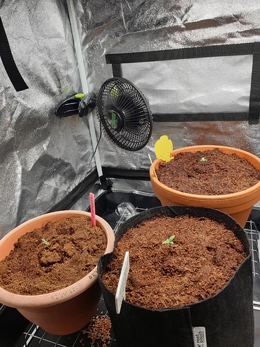Growreport Bild 10