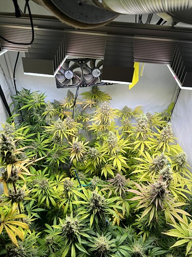 Growreport Bild 19