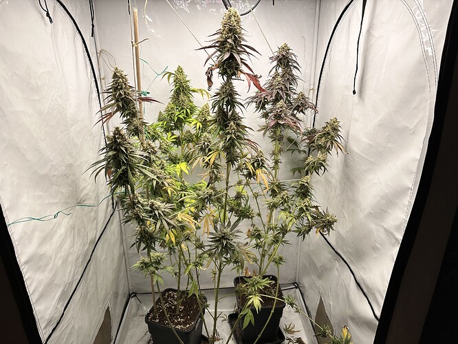 Growreport Bild 14