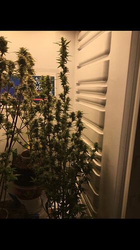 Growreport Bild 12
