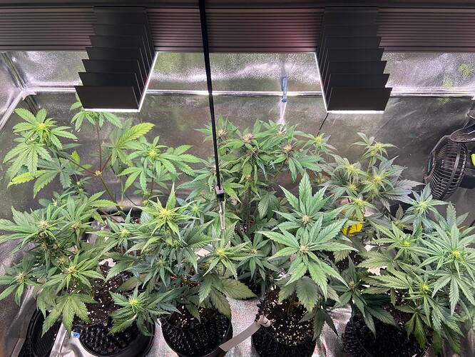 Growreport Bild 2