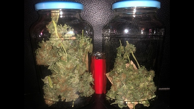 Growreport Bild 4