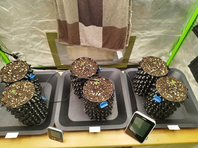 Growreport Bild 6