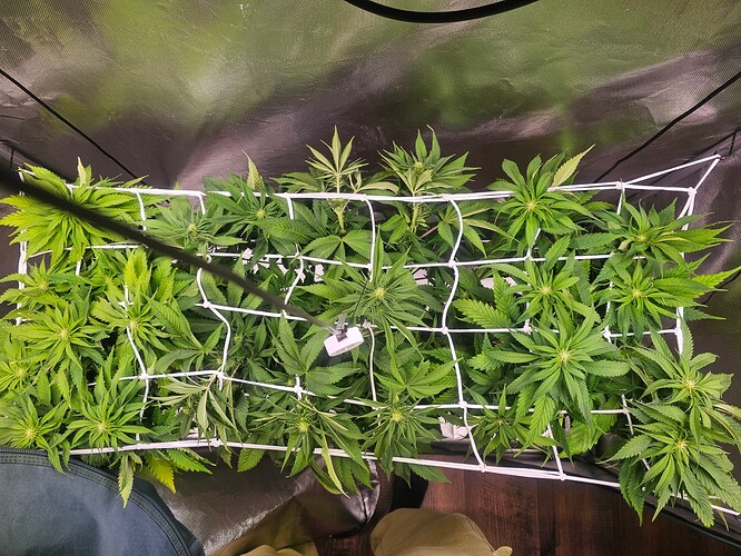 Growreport Bild 10