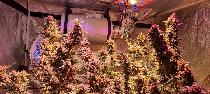 Growreport Bild 21