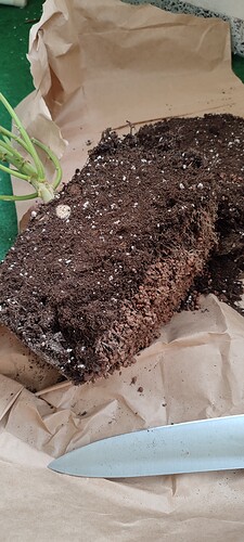 Growreport Bild 7