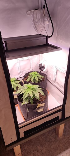 Growreport Bild 17