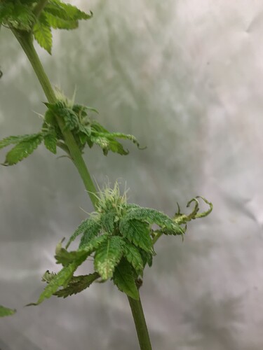 Growreport Bild 10