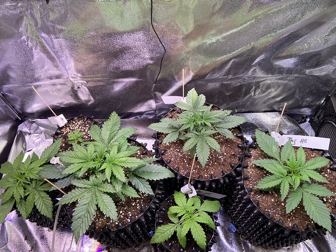 Growreport Bild 16