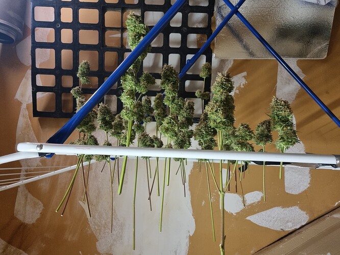 Growreport Bild 1
