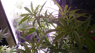 Growreport Bild 19