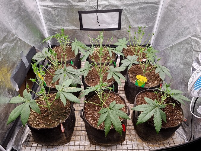 Growreport Bild 13