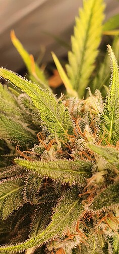 Growreport Bild 21