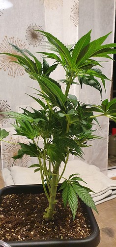 20210730_222710