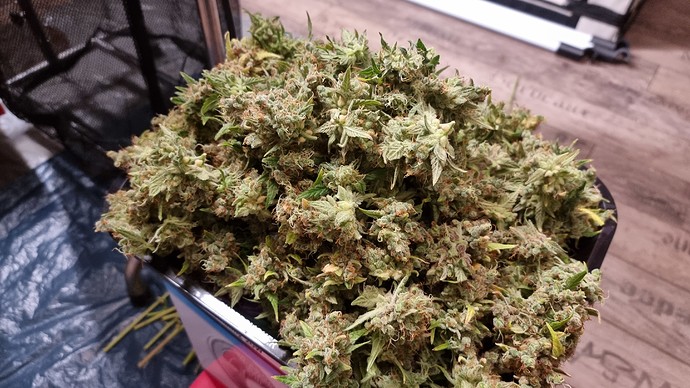 Growreport Bild 18