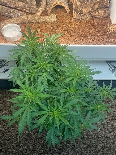 Growreport Bild 22