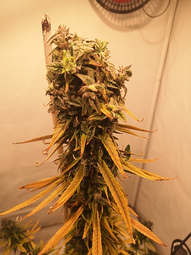 Growreport Bild 10