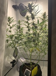 Growreport Bild 22