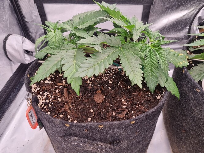 Growreport Bild 10