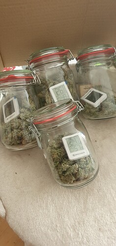 Growreport Bild 5