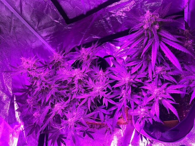 Growreport Bild 18
